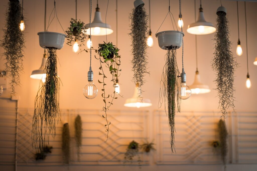 Garden Lighting