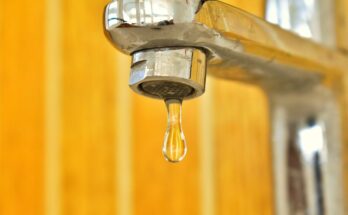 easy tips to save water at home